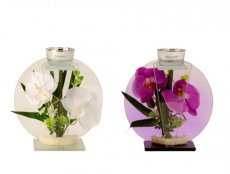 6404 glazen decoratie met witte orchideeën
